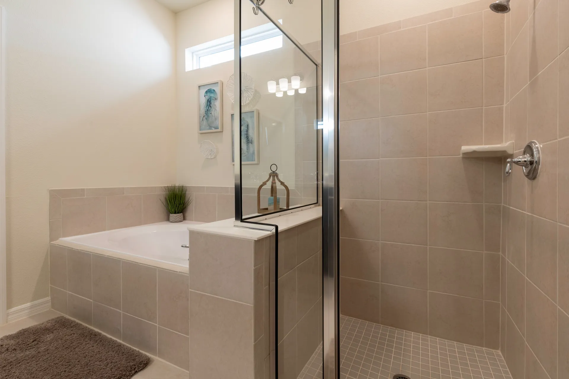 Bano Principal Ducha Tina Detalle